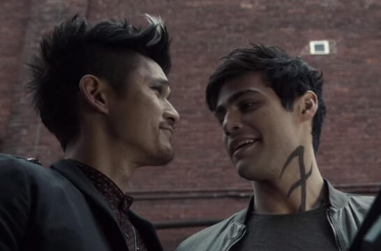 Magnus Bane/Alec Lightwood (malec)